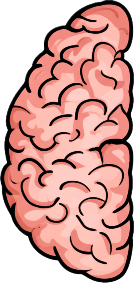 Left brain