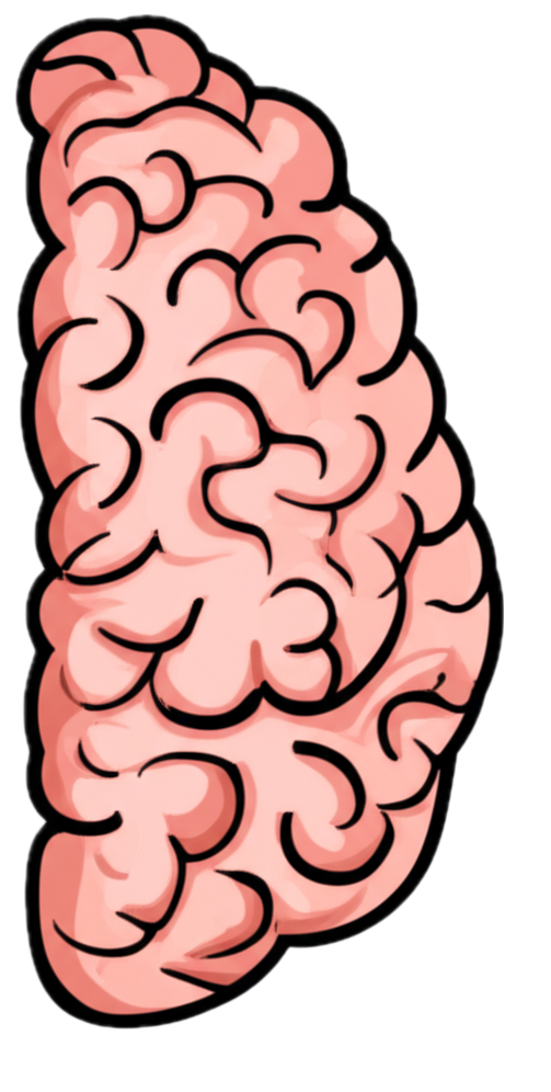 Right brain